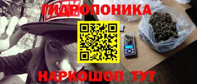 скорость Будённовск