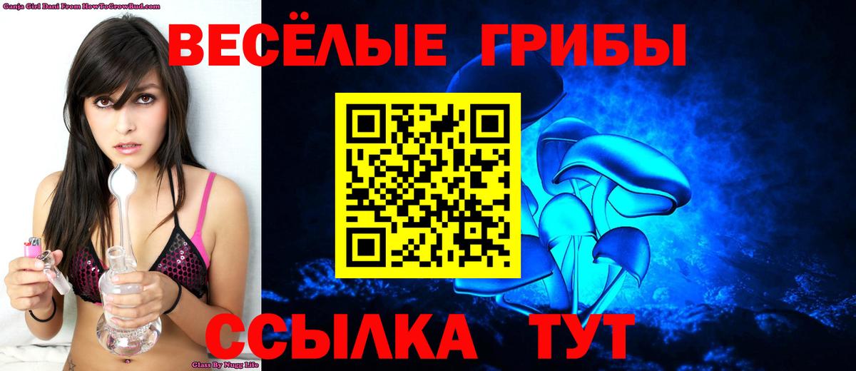 Псилоцибиновые грибы мухоморы Рязань