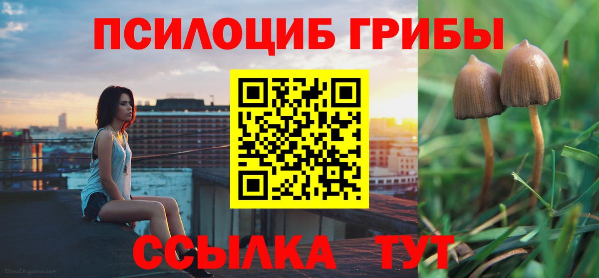 Псилоцибиновые грибы мицелий  Вход с VPN  Рязань 